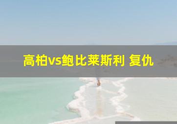 高柏vs鲍比莱斯利 复仇